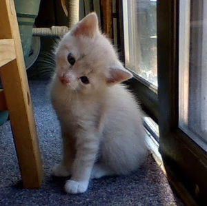 Meet your Posher, Madelyn